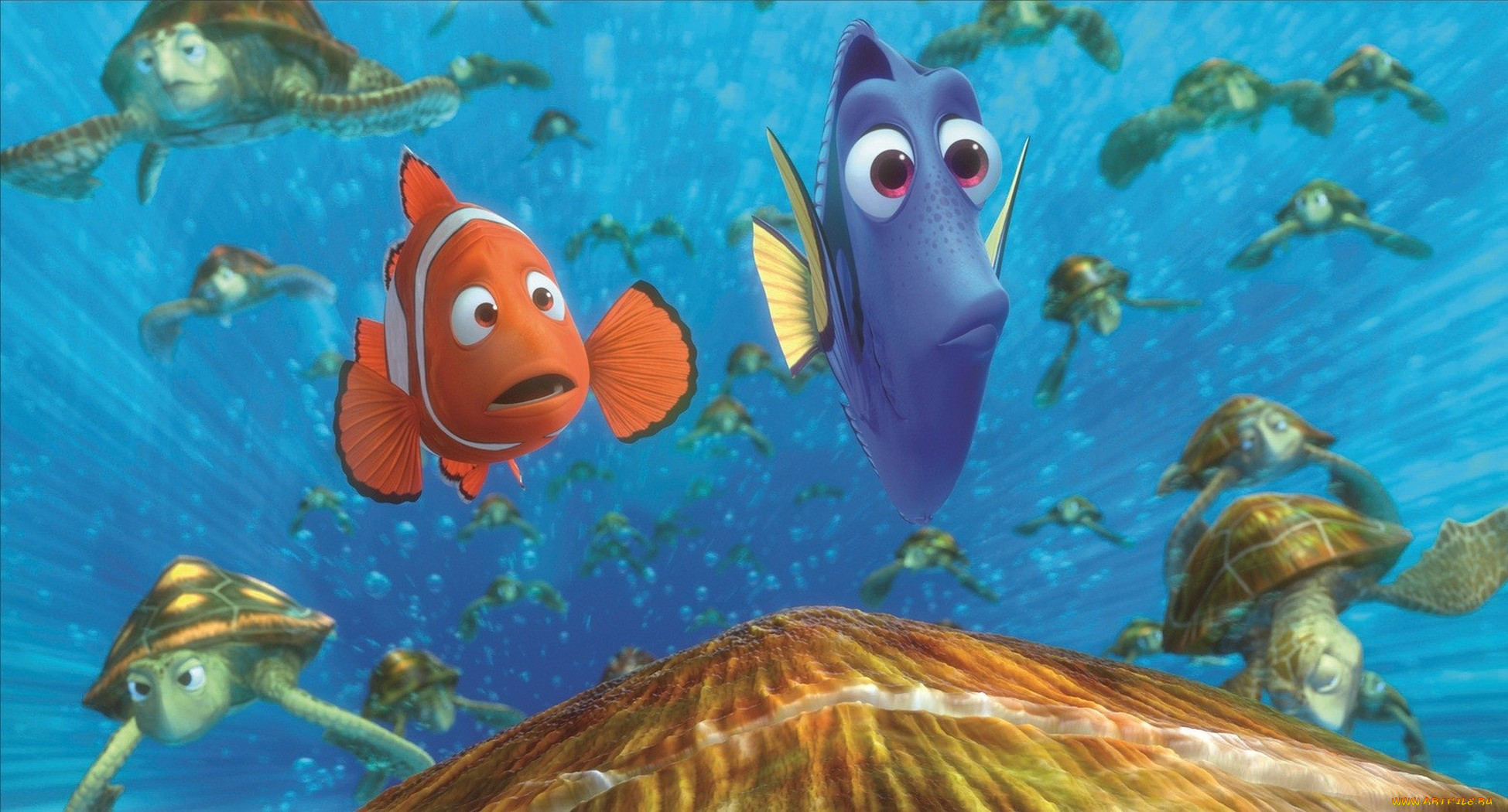 finding, nemo, , , , 